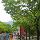 커피센티멘탈