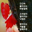 야사 Daum카페