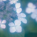 귀거래사 이미지