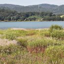 대청호오백리길 백골산성낭만길 이미지