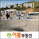 정동진주유소 네이버블로그