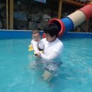 로젤리아 펜션 | 경주 로젤리아 펜션 (경주 수영장 펜션)