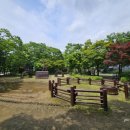 우면생태놀이터 이미지