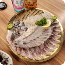 어랑어랑 회 산오징어 | 대구 종로 신상 횟집 어랑어랑 내돈내산 후기