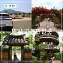 뉴스마트빌 | 경남 밀양 가볼만한곳 위양지 청보리밭 장미공원 달팽이전망대 5월 드라이브 코스