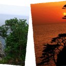 남대천L 이미지