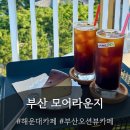 모어라운지 : 부산 오션뷰 카페 추천, 해운대달맞이카페 바다뷰 루프탑, 호지차 바스크치즈케이크 맛집