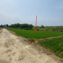 삽교읍001 이미지