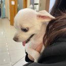 메디컬아이(주) 이미지