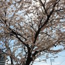 도암1리마을회관 이미지