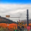 공설운동장 이미지