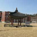 고령초등학교 이미지