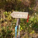 천도리양지마을 이미지