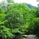 강천산가든 이미지