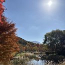 4호선 반여농산물시장역 | 부산 단풍 명소 해운대수목원 부산 가볼만한 곳 피크닉 장소 추천 및 꿀팁 후기