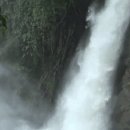 육갑선생 이미지