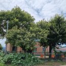 백암보건진료소 이미지