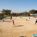 황송게이트볼장 이미지