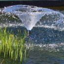 인삼랜드휴게소 이미지