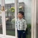 와이에스플라워