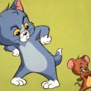 서진통상 이미지