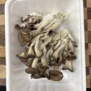 이랑이네 이미지