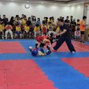 대동태권도 이미지