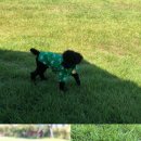 메르시도꾸 이미지