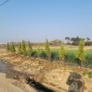 닛시농장 이미지