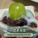 영춘맛집 | [대전] 대흥동 맛집 | 조기 품절 주의 평일 영춘모찌 방문 후기