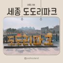 도도리파크(실내) | 세종 도도리파크 후기 조치원 세종 무료 아이와 실내가볼만한곳