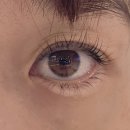 쁘띠네일숍 | 명동 네일아트 가격 좋은 쁘띠 속눈썹