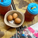 장수랜드찜질사우나 | 인천 대형찜질방 24시사우나 키위스파랜드
