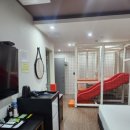 피노호텔 이미지