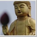 계화당 이미지