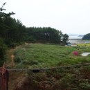 솔향기길 나오리공방 이미지