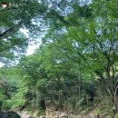 섬진강문화유산재첩 | 제10회 하동 섬진강문화재첩축제 / 하동 가볼만한곳 재첩 체험 볼거리