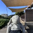 엄마표 애착인형 - 플래닛돌 | 5년째 아기 애착인형 젤리캣 옷입히기 추천