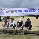 공공용 24 이미지