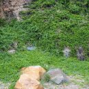 태화강펜션 이미지