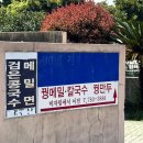 순수빙떡 | 제주 향토음식점 비자림 꿩메밀 손칼국수 방문기
