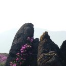 동석축산 이미지