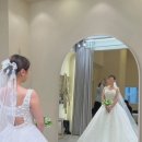 에일린에이 이미지