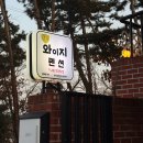 가야사슴민박 | [내돈내산] 태안 몽산포펜션 와이지풀빌라 단체도 좋은 신축풀빌라 추천