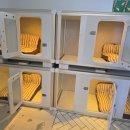 상주애견 | 신림 애견호텔 방문 후기~ 1급 훈련사 상주라는 게 이런 차이였네요