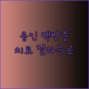 레이크봄봄피부과의원 이미지