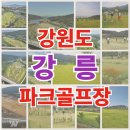 강릉파크골프장 티스토리