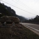 영골숲 Daum카페
