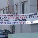 후사 이미지