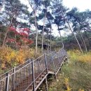 (주)나주교통 이미지